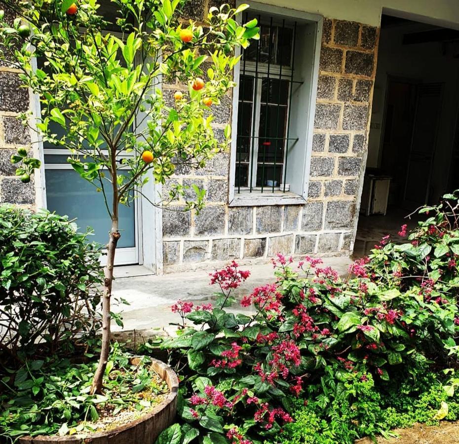 Berenice Winery Hotel Tiberias Exterior photo